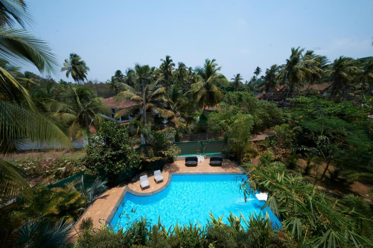 Fig House Anjuna-Chapora Road , Siolim 1Bhk Suite Oxel Εξωτερικό φωτογραφία