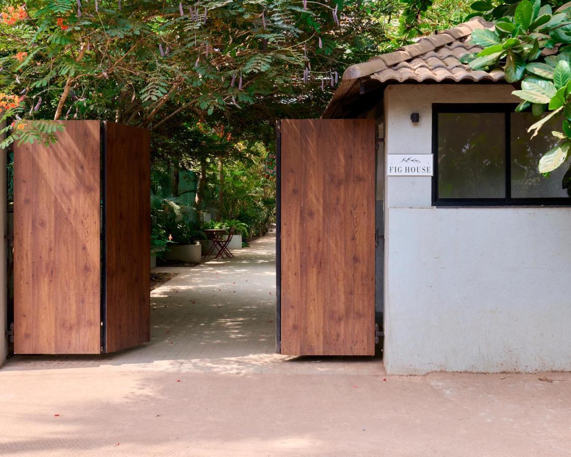 Fig House Anjuna-Chapora Road , Siolim 1Bhk Suite Oxel Εξωτερικό φωτογραφία